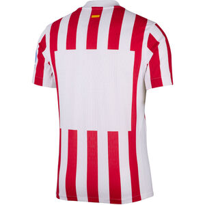 Camiseta match hombre 1ª equipación 25/26